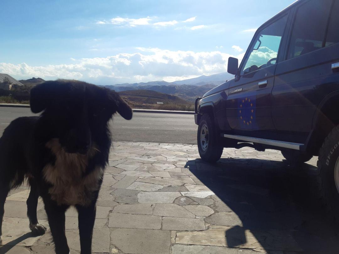 A dog and a vehicle of the EU Monitoring Capacity to Armenia. Yeghegnadzor, October 2022. Photo by the author. A dog and a vehicle of the EU Monitoring Capacity to Armenia. Yeghegnadzor, October 2022. Photo by the author.