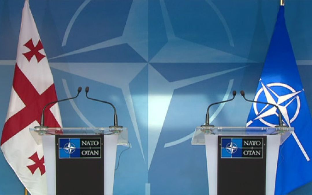 Нато дзен. Грузия и НАТО. Вступление Украины и Грузии в НАТО. Грузия членство в НАТО. Вступление Грузии в НАТО.