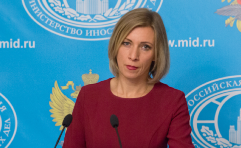 Russian MFA Criticizes 'Western Double Standards' on Protests in Armenia and Georgia