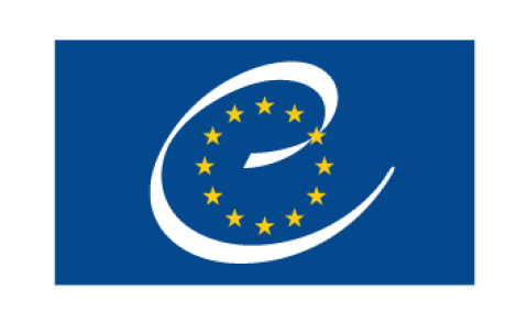 Council Of Europe Reaffirms Unified Stance On Georgia Conflict Condemning Russia and Backing Sovereignty