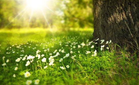Switzerland launches a 4.8 million euro project for natural conservation in Armenia